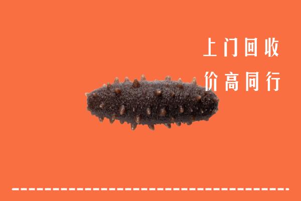 高价求购：普洱回收海参
